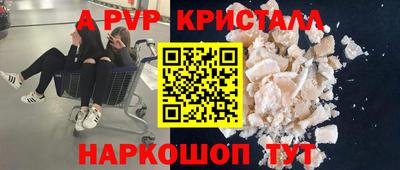 стаф Донской