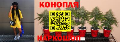 ALPHA PVP Донецк