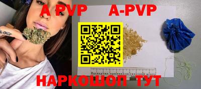 стаф Донской