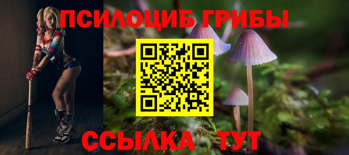 Лесосибирск  Галлюциногенные грибы прущие грибы  Вход с VPN  Псилоцибиновые грибы GOLDEN TEACHER 